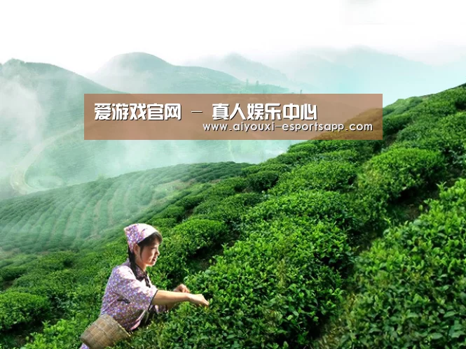 爱游戏官网 - 真人娱乐中心
