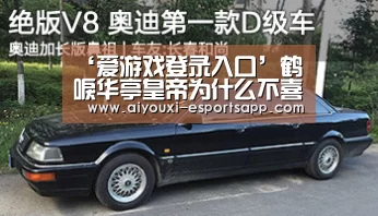 爱游戏官方入口