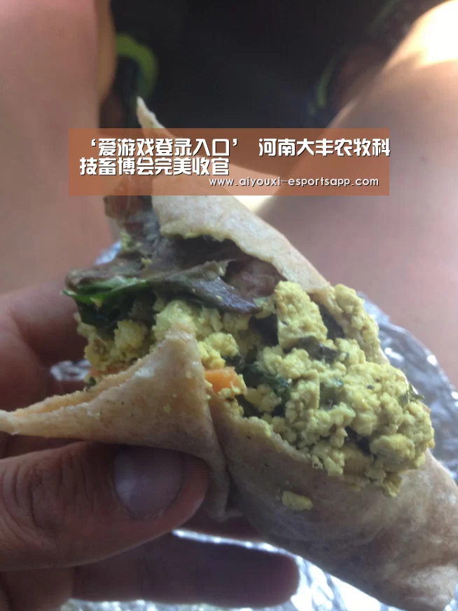 爱游戏体育官方网站
