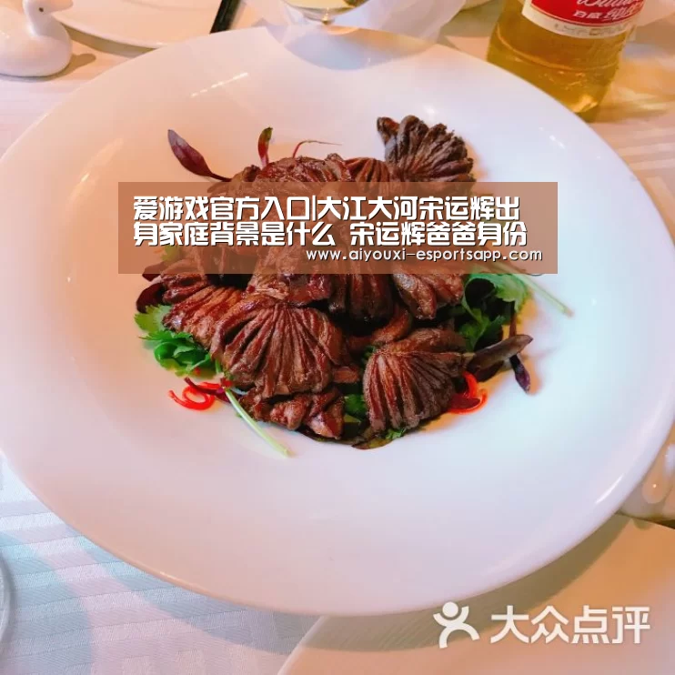 爱游戏官方入口|大江大河宋运辉出身家庭背景是什么 宋运辉爸爸身份揭秘(图4) 爱游戏登录入口
