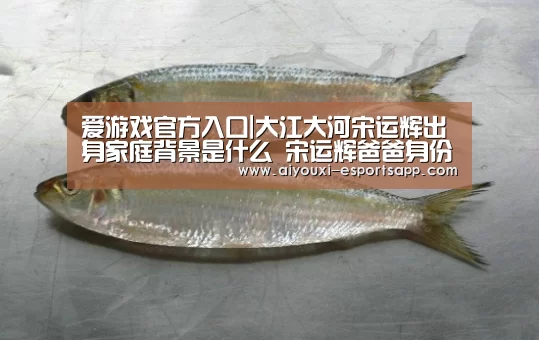 爱游戏官方入口|大江大河宋运辉出身家庭背景是什么 宋运辉爸爸身份揭秘(图3) 爱游戏官网