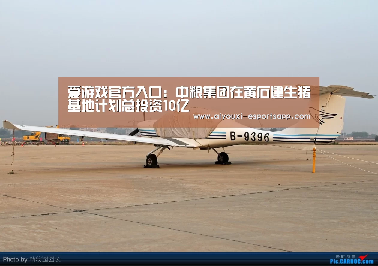 爱游戏登录入口