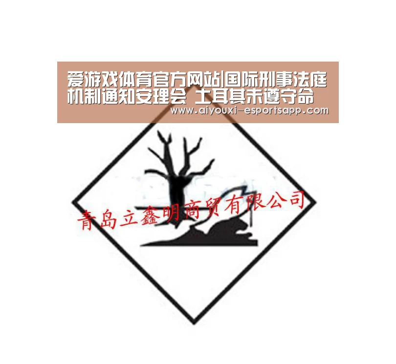 爱游戏体育官方网站|国际刑事法庭机制通知安理会 土耳其未遵守命令释放该机制法官(图4) 爱游戏登录入口