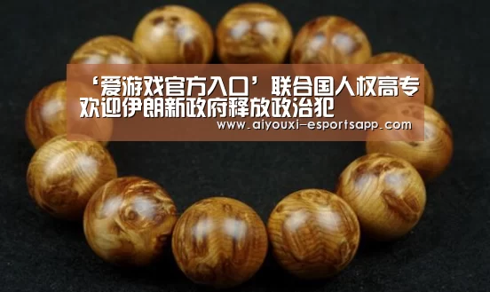 ‘爱游戏官方入口’联合国人权高专欢迎伊朗新政府释放政治犯(图2) 爱游戏体育官方网站