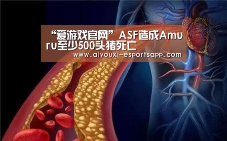 “爱游戏官网”ASF造成Amuru至少500头猪死亡(图4) 爱游戏登录入口