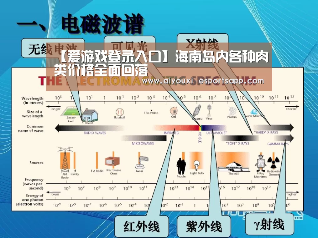 【爱游戏登录入口】海南岛内各种肉类价格全面回落(图1) 爱游戏体育官方网站