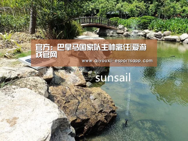 官方：巴拿马国家队主帅离任|爱游戏官网