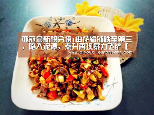 亚冠最新积分榜:申花输球跌至第三,陷入泥潭,秦升再现暴力飞铲【爱游戏登录入口】(图4) 爱游戏官方入口