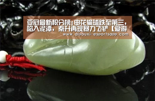 亚冠最新积分榜:申花输球跌至第三,陷入泥潭,秦升再现暴力飞铲【爱游戏登录入口】(图3) 爱游戏官网