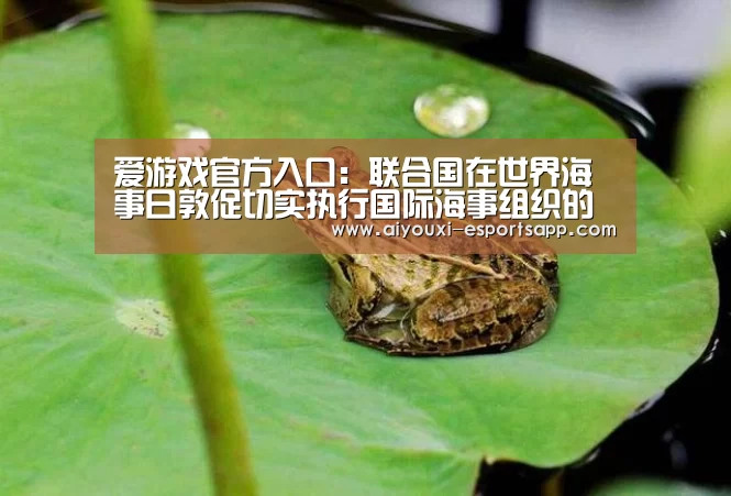 爱游戏官方入口:联合国在世界海事日敦促切实执行国际海事组织的各项公约(图1) 爱游戏官方入口