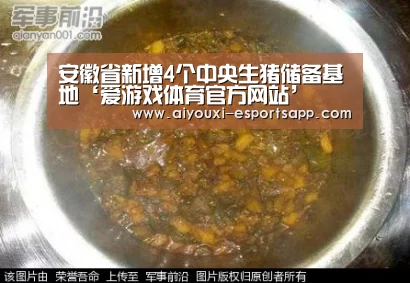 安徽省新增4个中央生猪储备基地‘爱游戏体育官方网站’(图1) 爱游戏官网